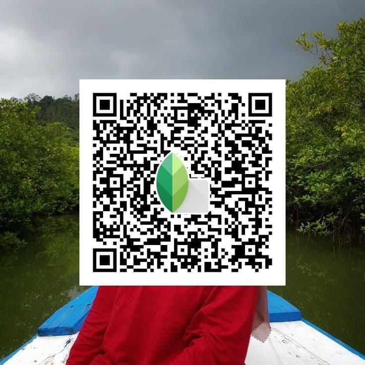 Snapseed QR Codes