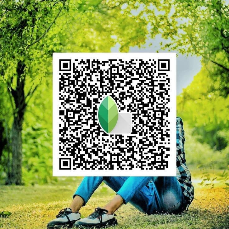 Snapseed QR Codes